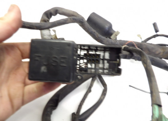 Wire Harness Suzuki SV 650