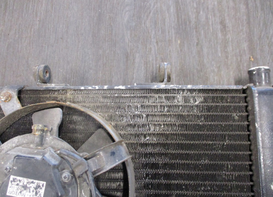 Radiator Suzuki GSF 400 Bandit