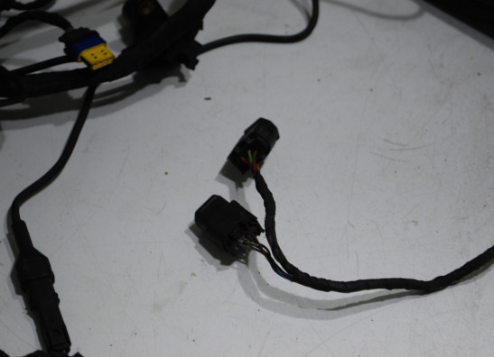 Kabelbaum BMW R 1200 RT