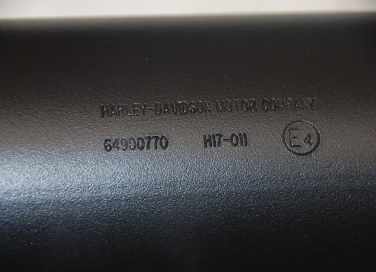 Auspuff Harley Davidson Touring FL