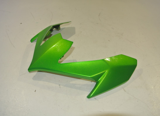 Topkuip Kawasaki Z 900