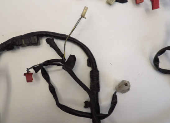 Kabelboom Honda CBR 600 F