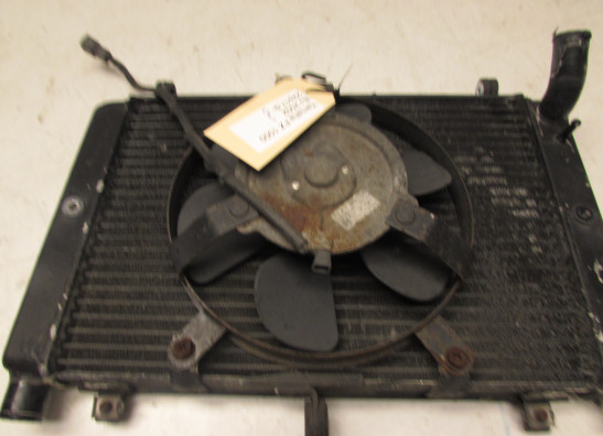 Radiator Yamaha FAZER 1000