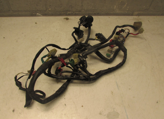 Kabelboom Honda CBR 600 F