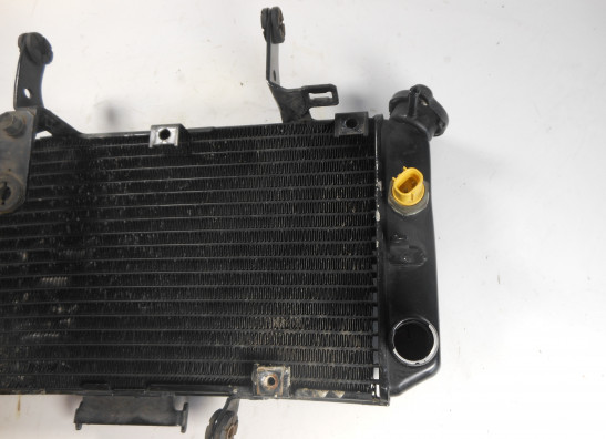 Radiator Suzuki DL 650 V STROM