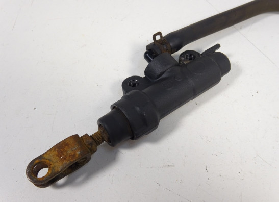 Rempomp achter Triumph Tiger 800