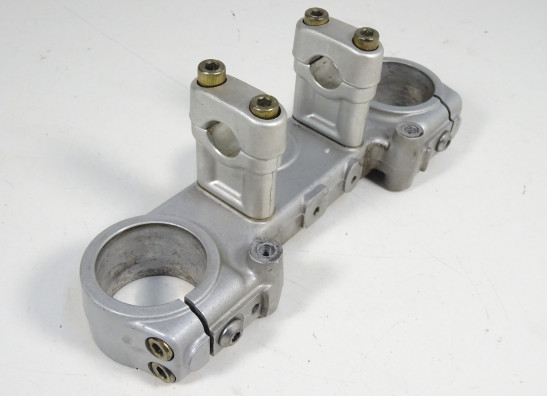 Kroonplaat Ducati monster 600