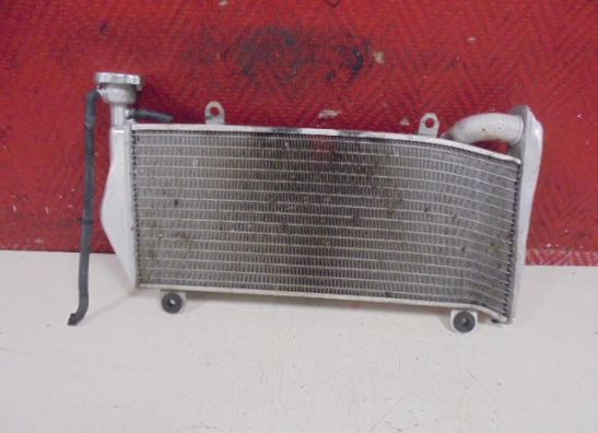 Radiateur Ducati Panigale 1199