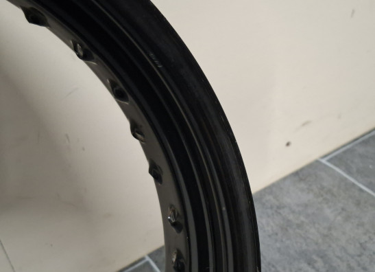 Achtervelg Harley Davidson XL1200CX Roadster