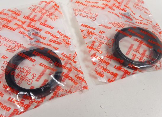 Voorpoten Ducati ST4