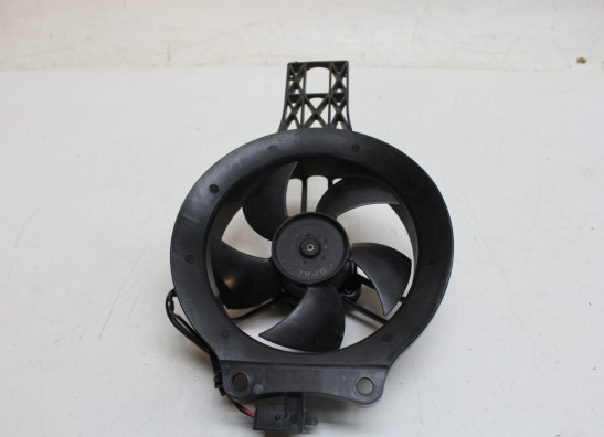 Fan KTM 890 Duke