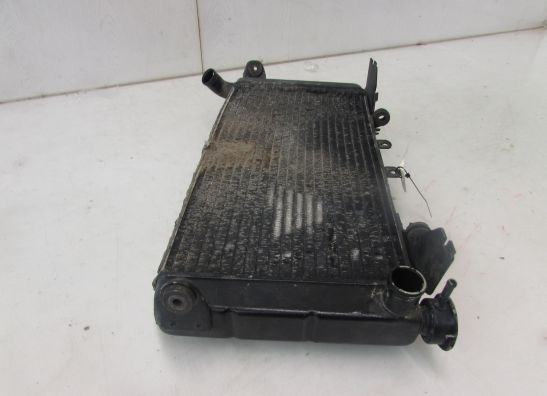 Radiator Honda CBR 600 F