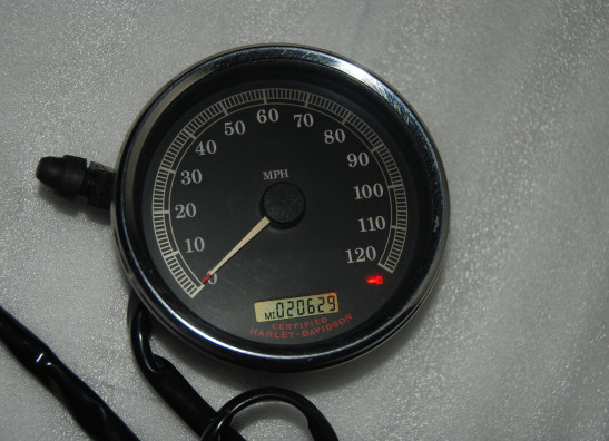 Teller Harley Davidson Softtail