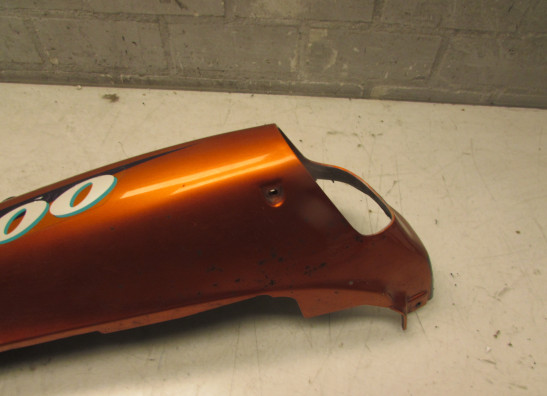 Heck links Kawasaki ZZR 1100