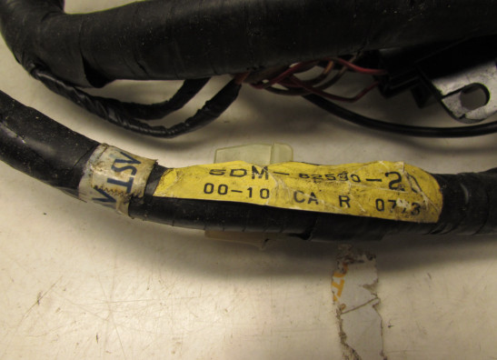 Kabelbaum Yamaha FAZER 600