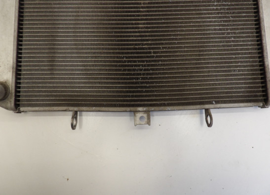 Radiator Kawasaki Z 1000 Sx
