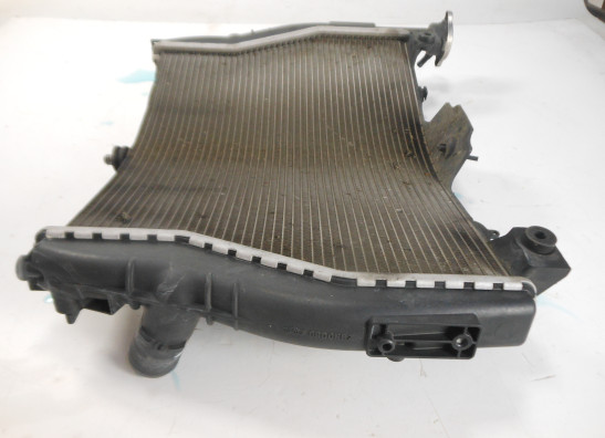 Radiator BMW S 1000 R