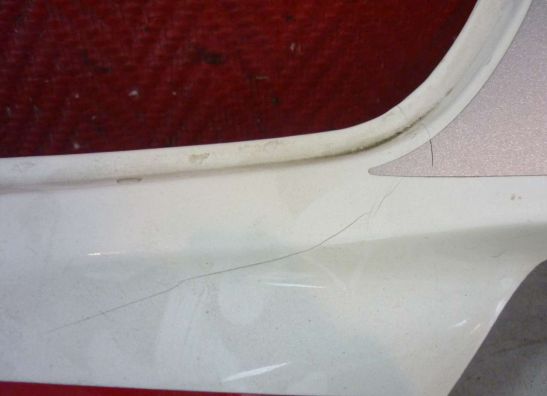 Rechter achterkant Kawasaki ZZR 600