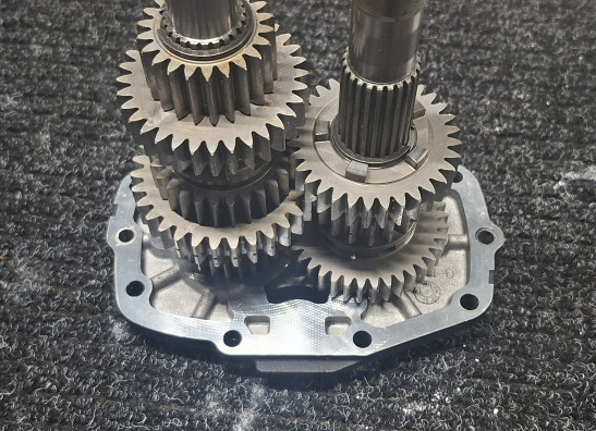 Versnellingsbak Harley Davidson FLSTF Fat Boy