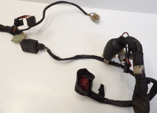 Wire Harness Honda CMX 450