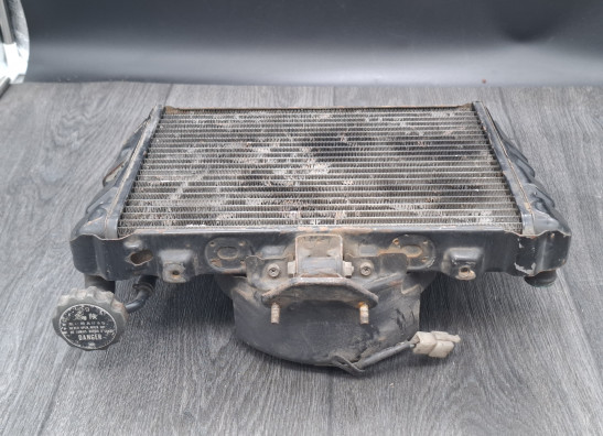 Radiateur Honda Goldwing GL