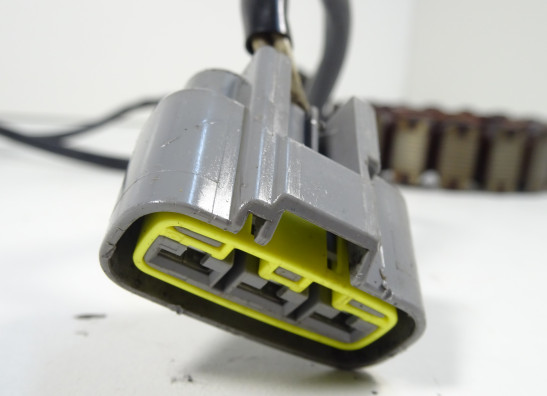 Lichtmaschine Yamaha FJR 1300