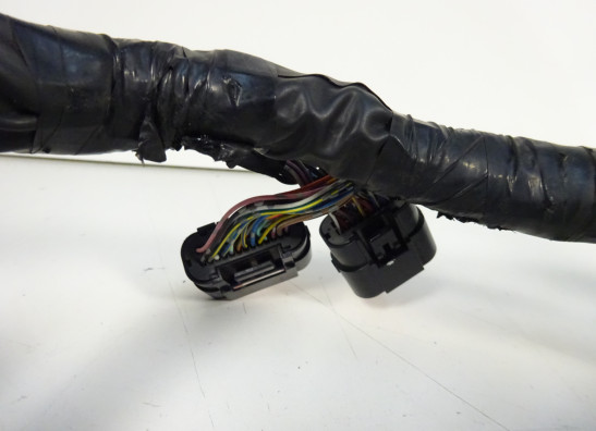 Wire Harness Kawasaki ER 6