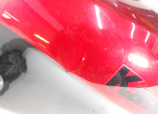 Tank Kawasaki ZZR 250