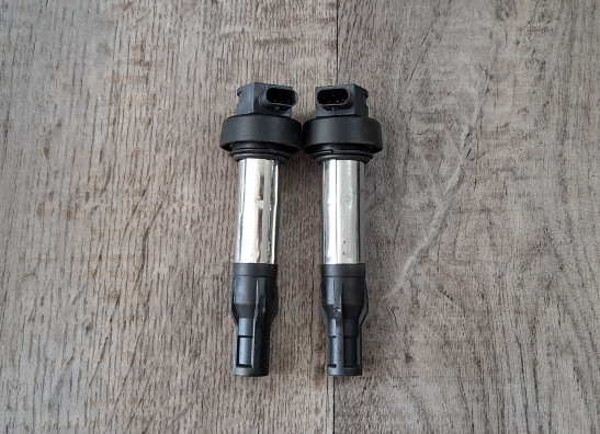 Ignition Coil BMW F 900 XR