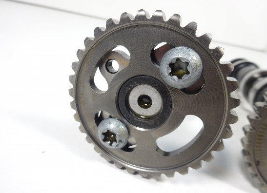 Nokkenas Aprilia Tuono 660