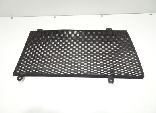 Radiator toebehoren BMW F 650 GS
