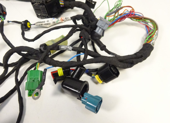 Kabelboom Aprilia Tuono 660