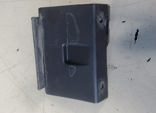 Overig Aprilia Tuono 1000