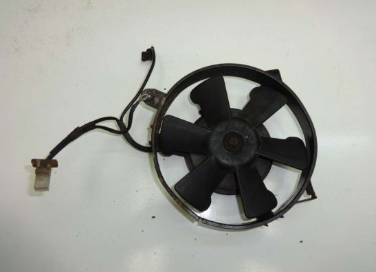 Fan Honda TRANSALP