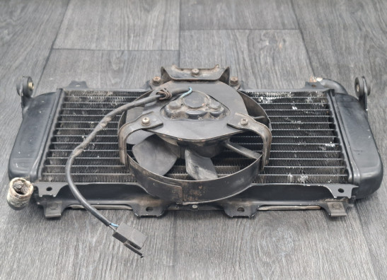 Kuhler Yamaha FZR 400