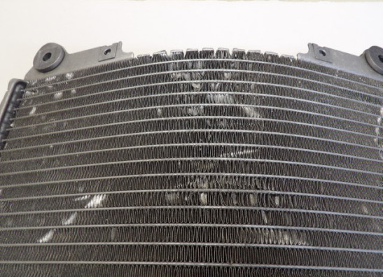 Radiator Kawasaki ZX 7 R