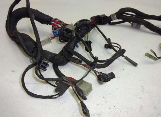 Kabelbaum Kawasaki EL 250