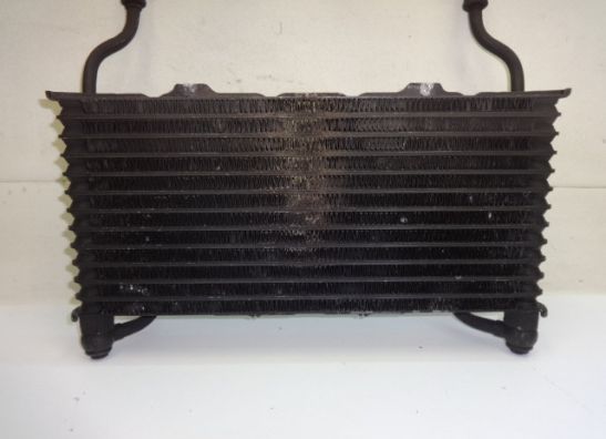 Olkuhler Suzuki GSX F 1100