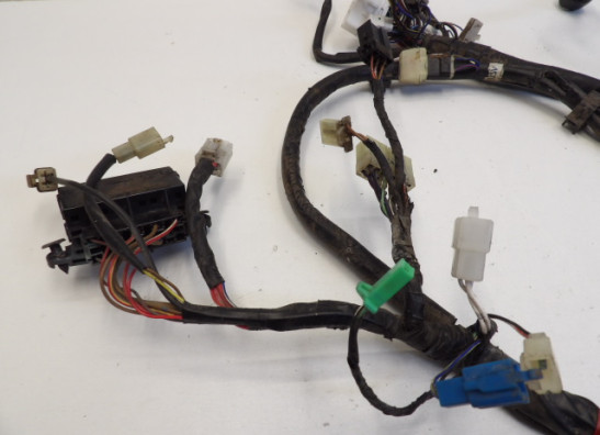 Kabelboom Yamaha FAZER 600