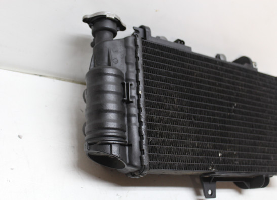 Radiateur BMW F 800 S - ST