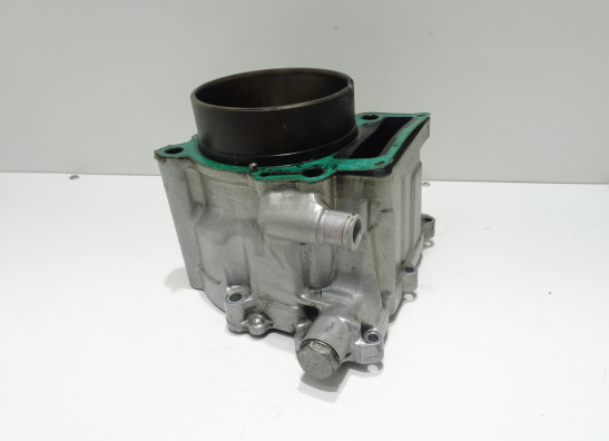 Cilinderblok BMW F 650 CS Scarver