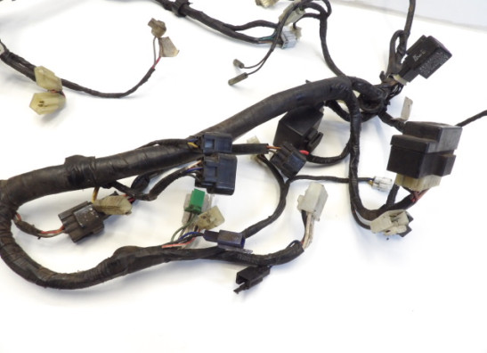 Wire Harness Yamaha YZF 600 Thundercat