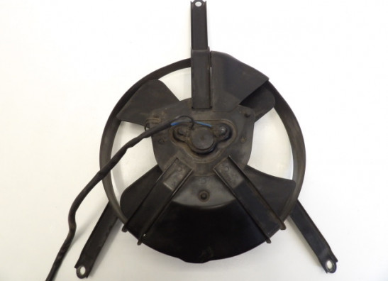 Fan Suzuki GSX R 750