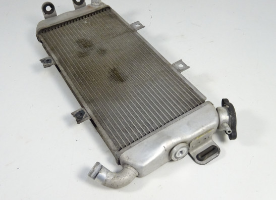 Kuhler Kawasaki ER 6