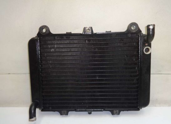 Kuhler Kawasaki GPX 600