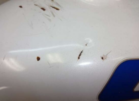 Benzintank Honda CBR 600 F