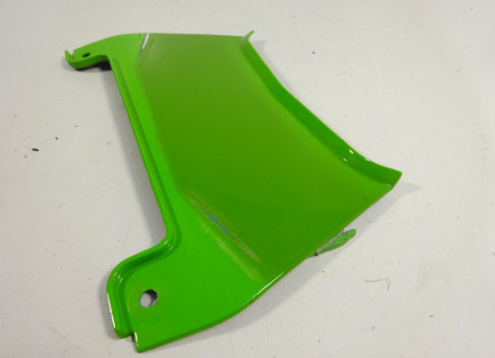 Heck Kawasaki ZX 10 R