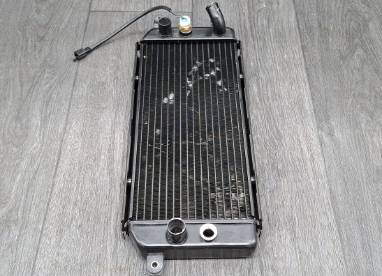 Radiator Suzuki VZ 800 marauder