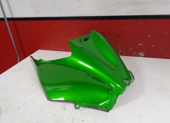 Tankschutz Kawasaki ZZR 1400