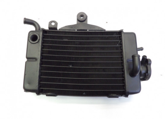 Kuhler Honda TRANSALP